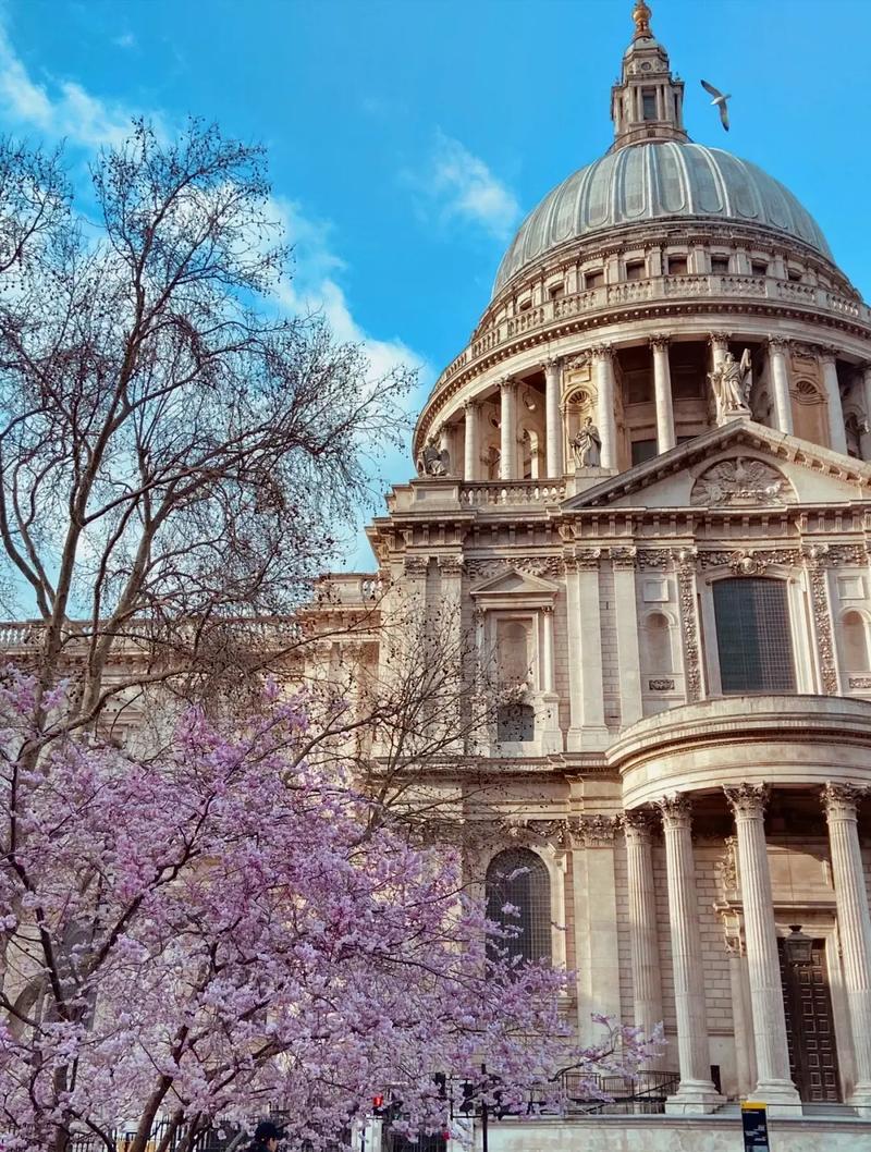 伍斯特理工学院