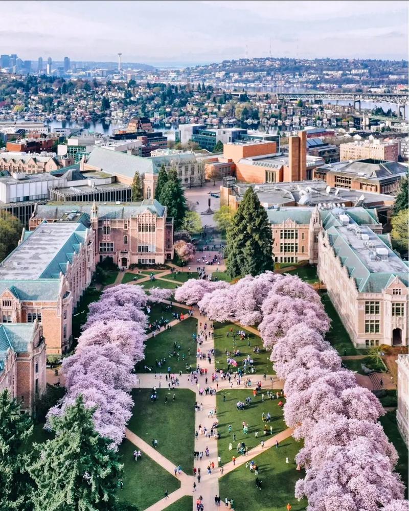 新不伦瑞克大学